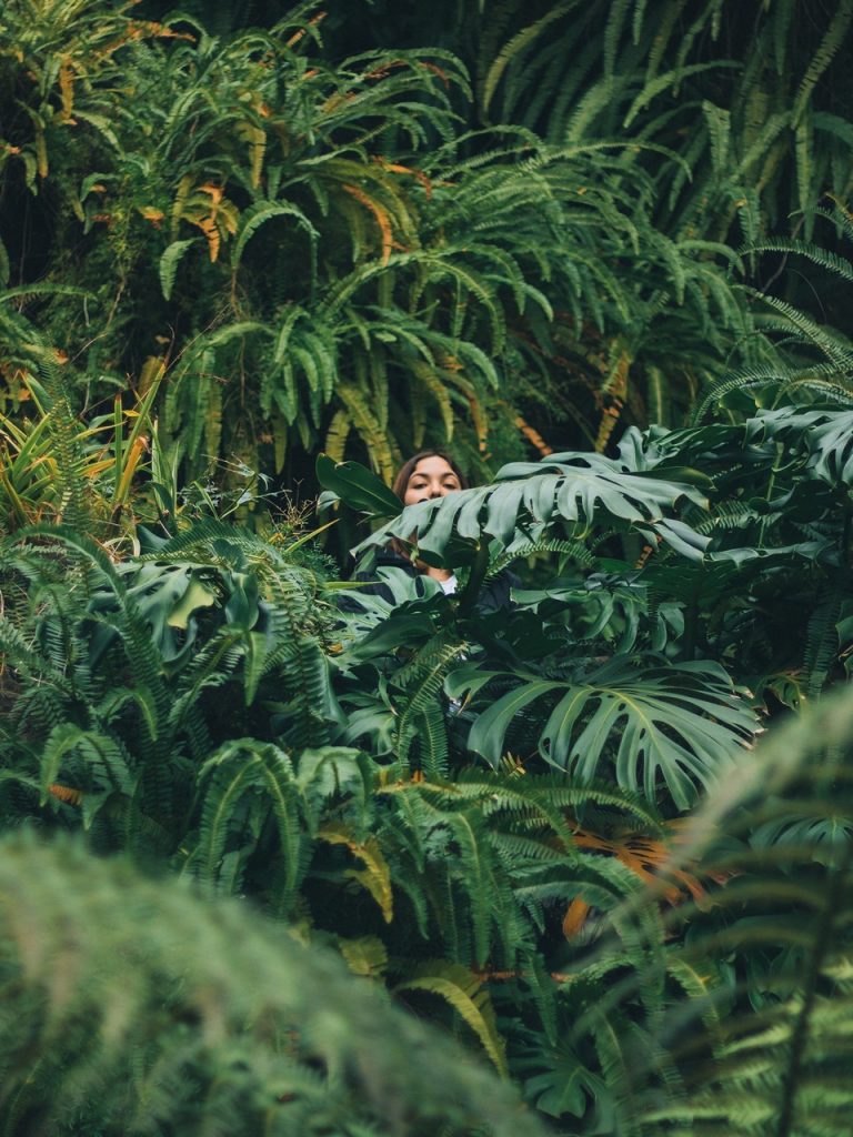 Afonso Cruz – Photography / Street 017