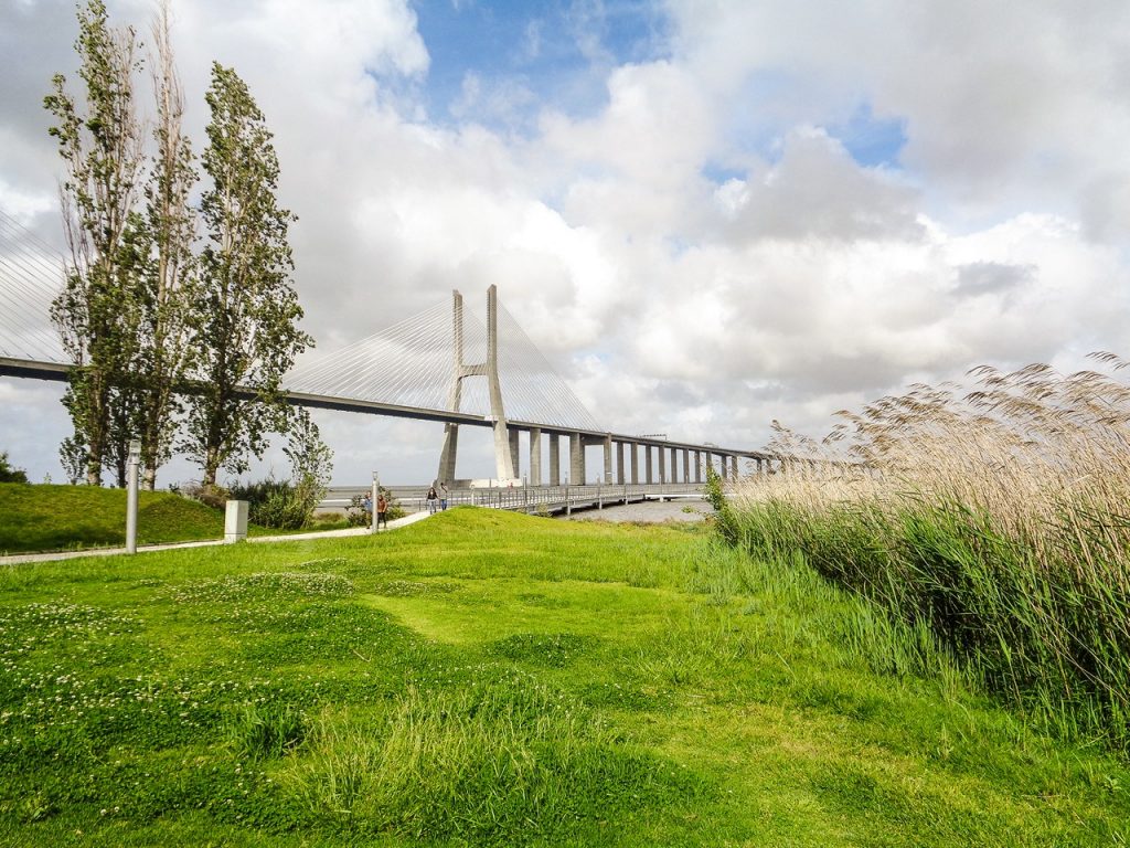 Afonso Cruz – Photography / Street 018