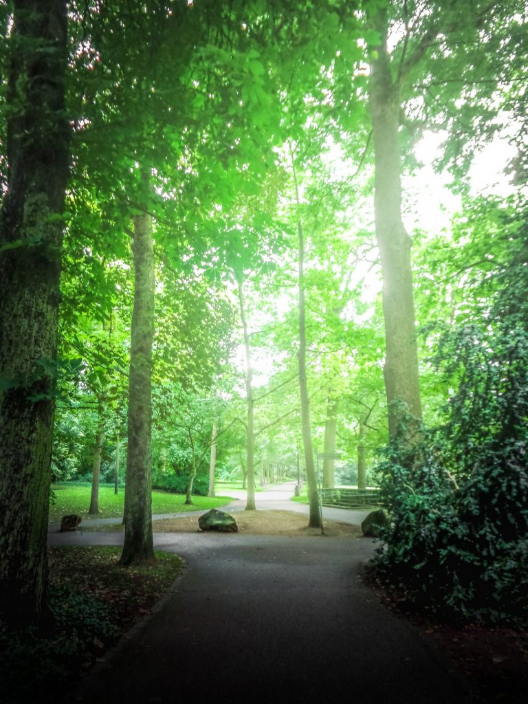 Afonso Cruz – Photography / Street 007